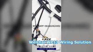 KBZE 1006889780 LGMG SANY XCMG टनली खनन डंप ट्रक के लिए WEICHAI WP13 इंजन वायरिंग हार्नेस
